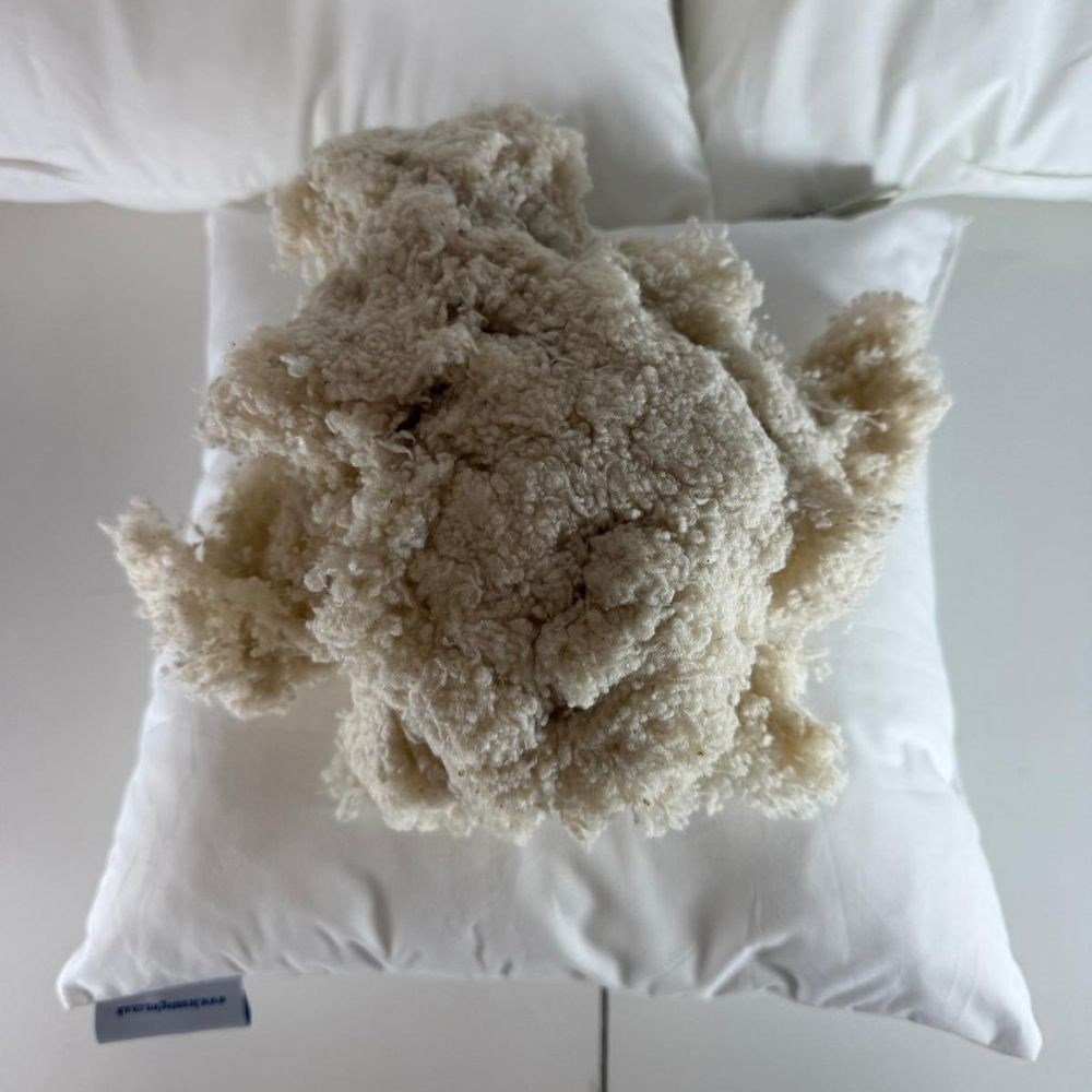Silk filled inner cushion